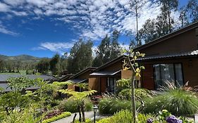 Manis Ae Hotel, Cabin & Resto Bromo